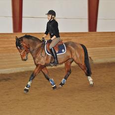 DSP Shamrocks Massa E Cozzile