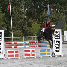 Anden særlig race Miska