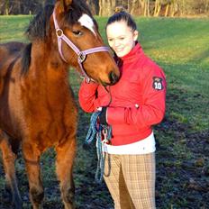 Mangalarga Marchador Girada vom Cassenshof