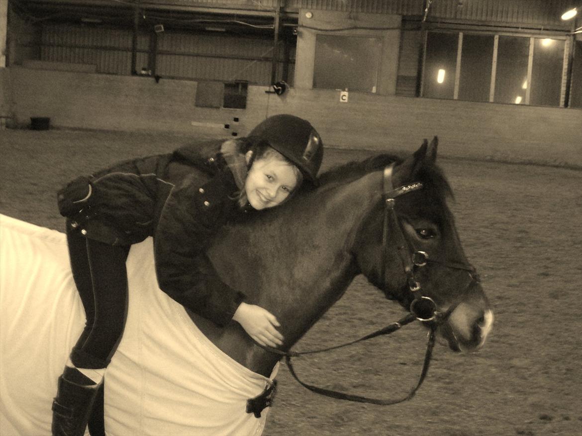 Anden særlig race Calypso - Hygge uden sadel<3  billede 13