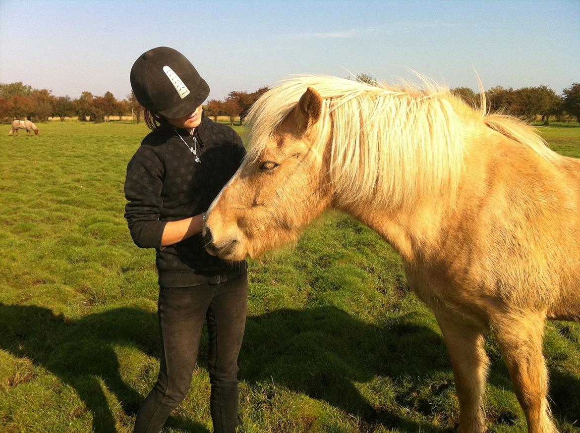 Islænder Katla fra Diget. |Truntepigen| - Første gang jeg mødte min lille vandmelon <3 billede 12