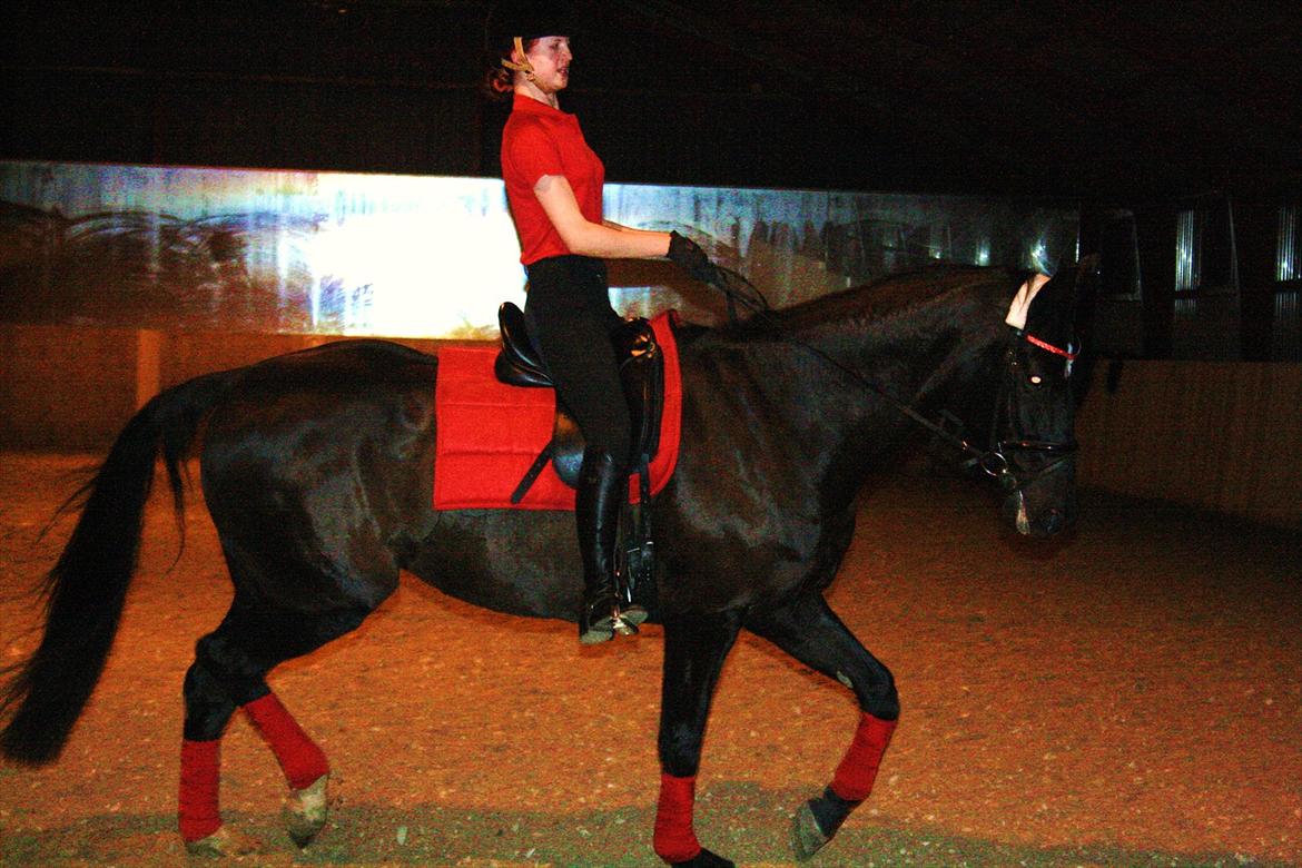 Dansk Varmblod Åkærs Zabina *Sorte* SOLGT - Sorte og jeg forsøger at ride dressur :-)  3 janura 2012 © Foto: Frederikke Lundgreen <3  billede 15