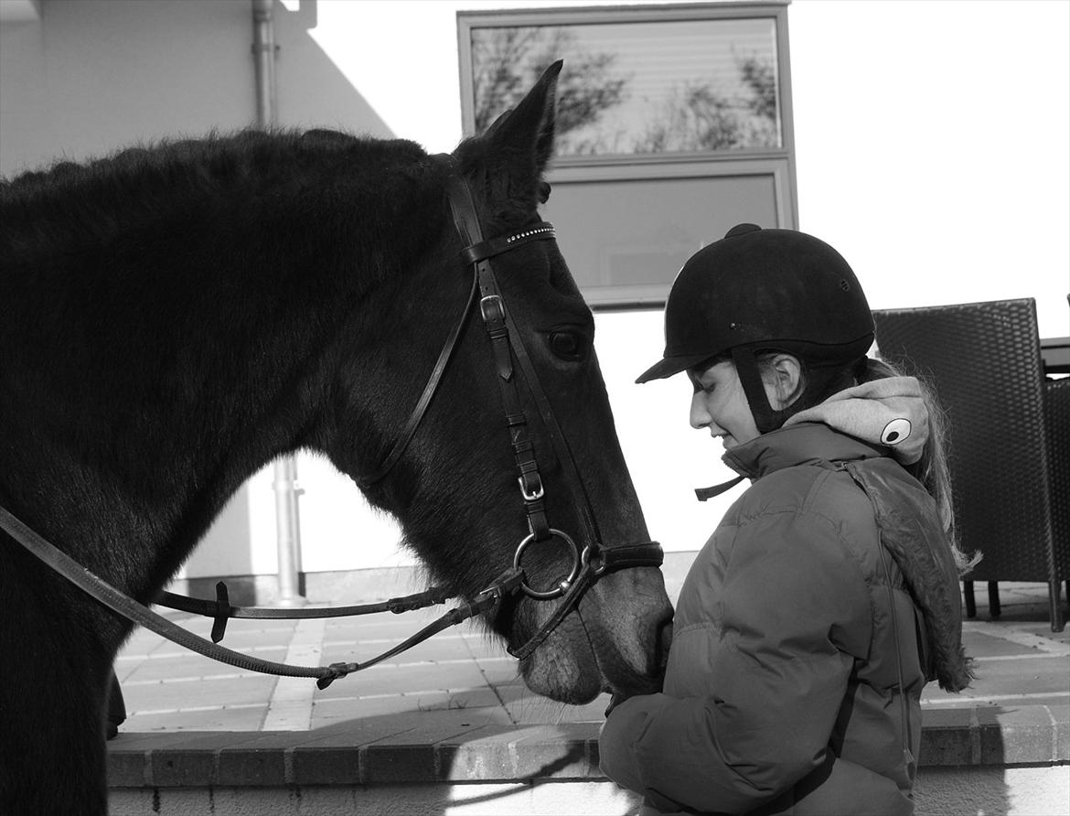 Anden særlig race Irish Fantasy - Søde Fansy :-* billede 2