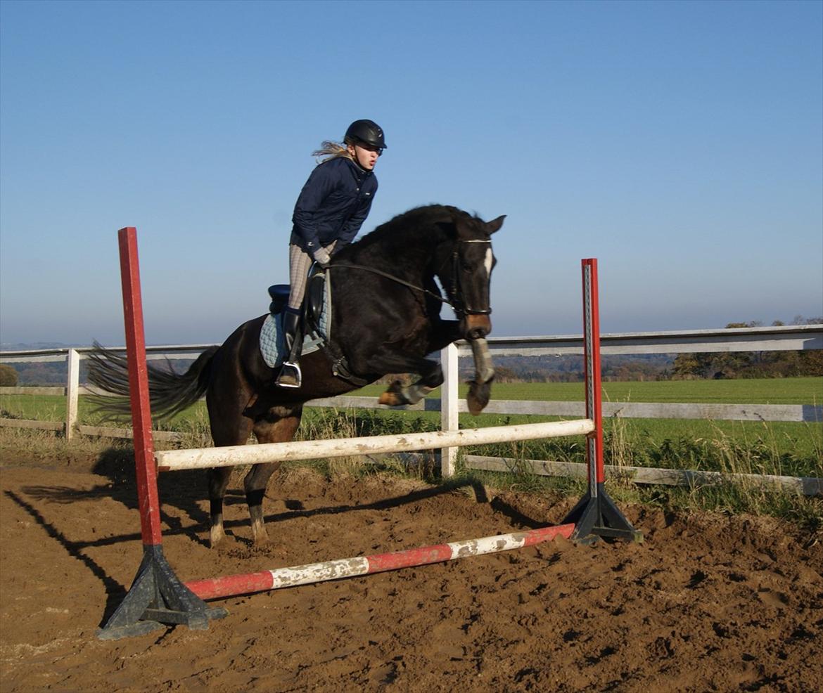 Anden særlig race Irish Fantasy - Fansy og Christina springer 80 cm. :-D billede 7