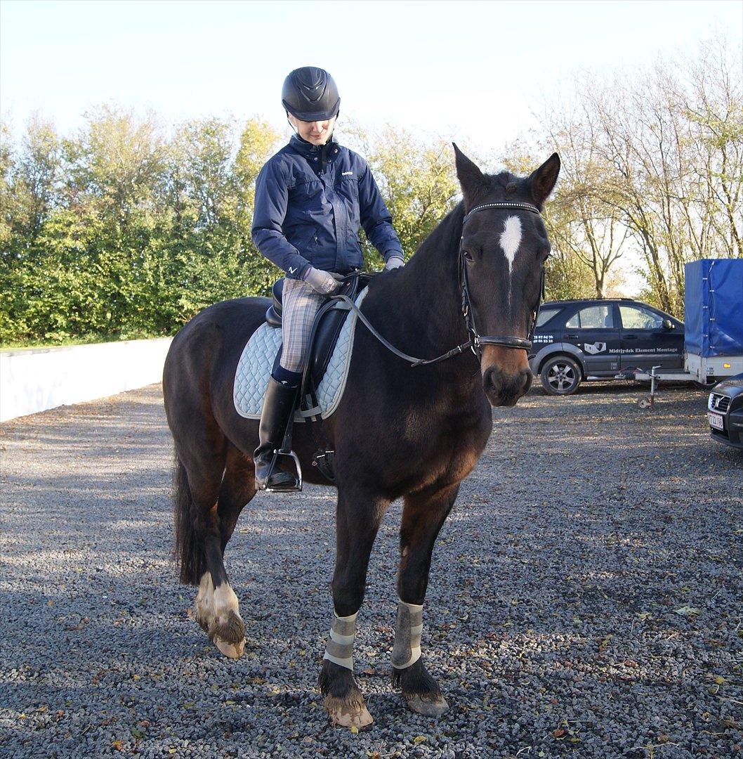 Anden særlig race Irish Fantasy - Christina og Fansy :-* billede 5