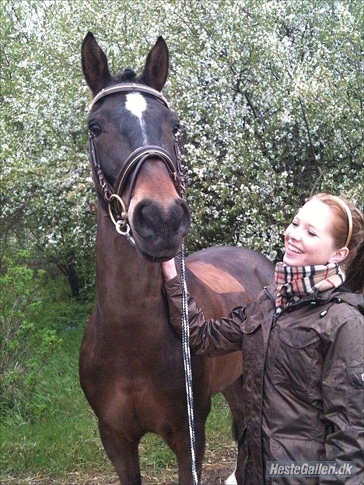 Anden særlig race Irish Fantasy billede 18