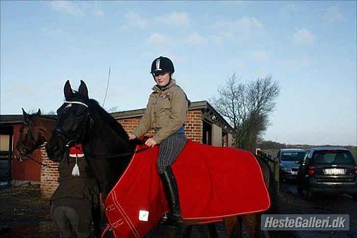Anden særlig race Candy - jule aften 2011, michelle på jule optog med den gamle :-) billede 1