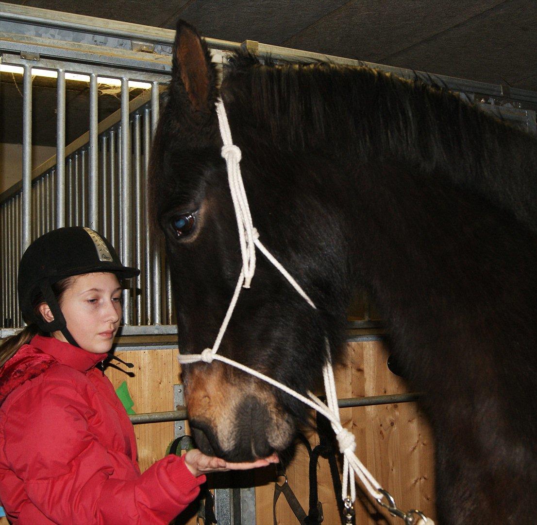 Anden særlig race Irish Fantasy billede 16