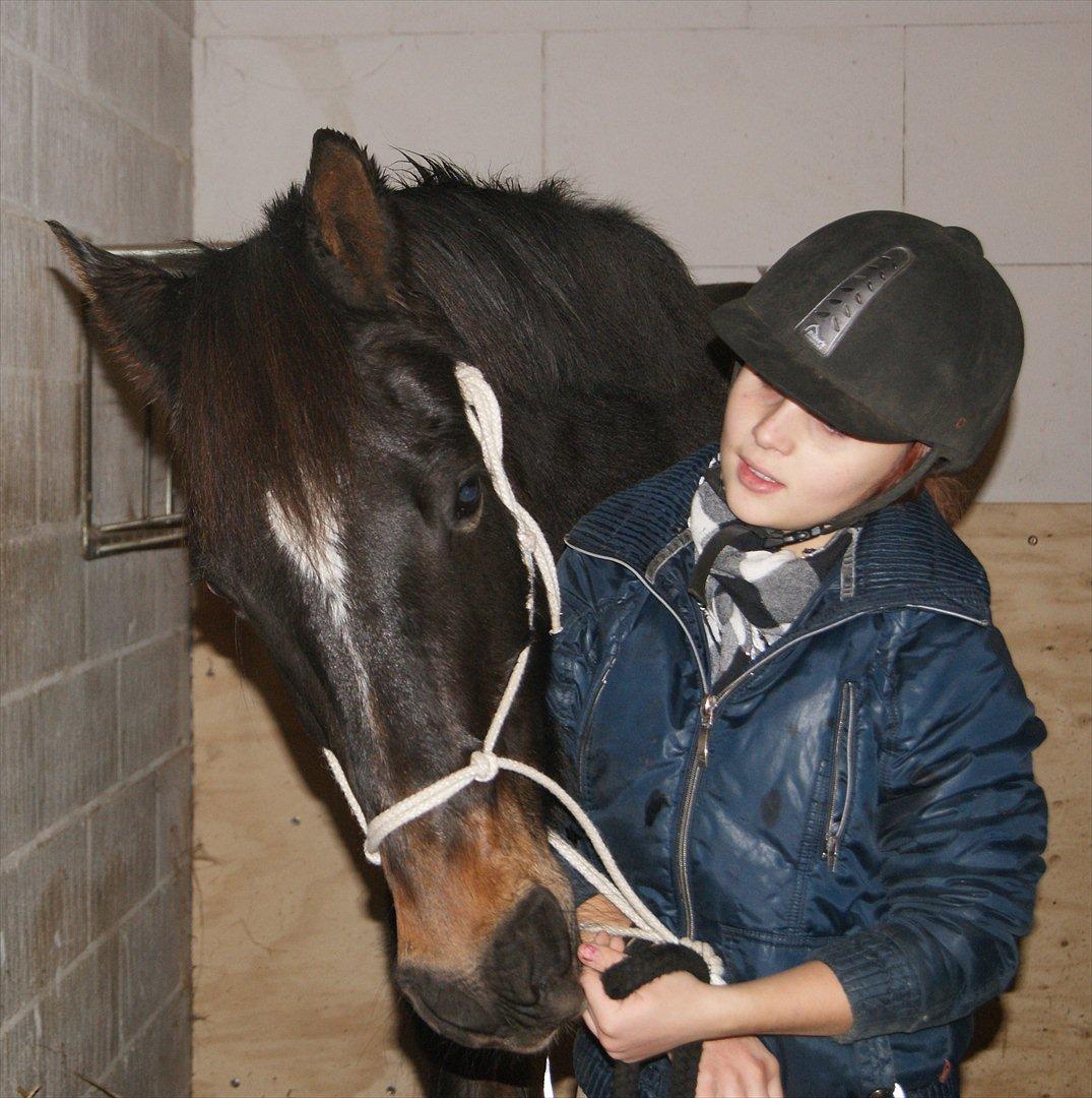 Anden særlig race Irish Fantasy billede 8