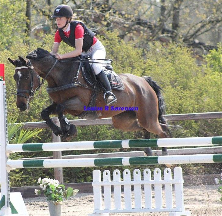 Anden særlig race Manuela  billede 19