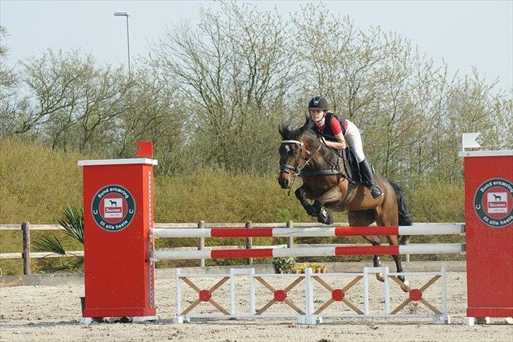 Anden særlig race Manuela  - velkommen til Manuela billede 1