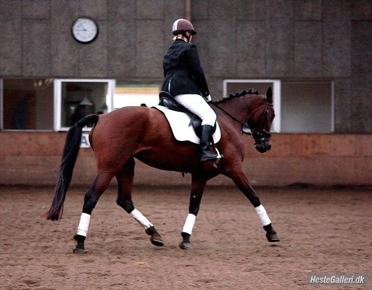 Traver Komet Lund - Stævne i Hornstrup. Foto: Barløse billede 16