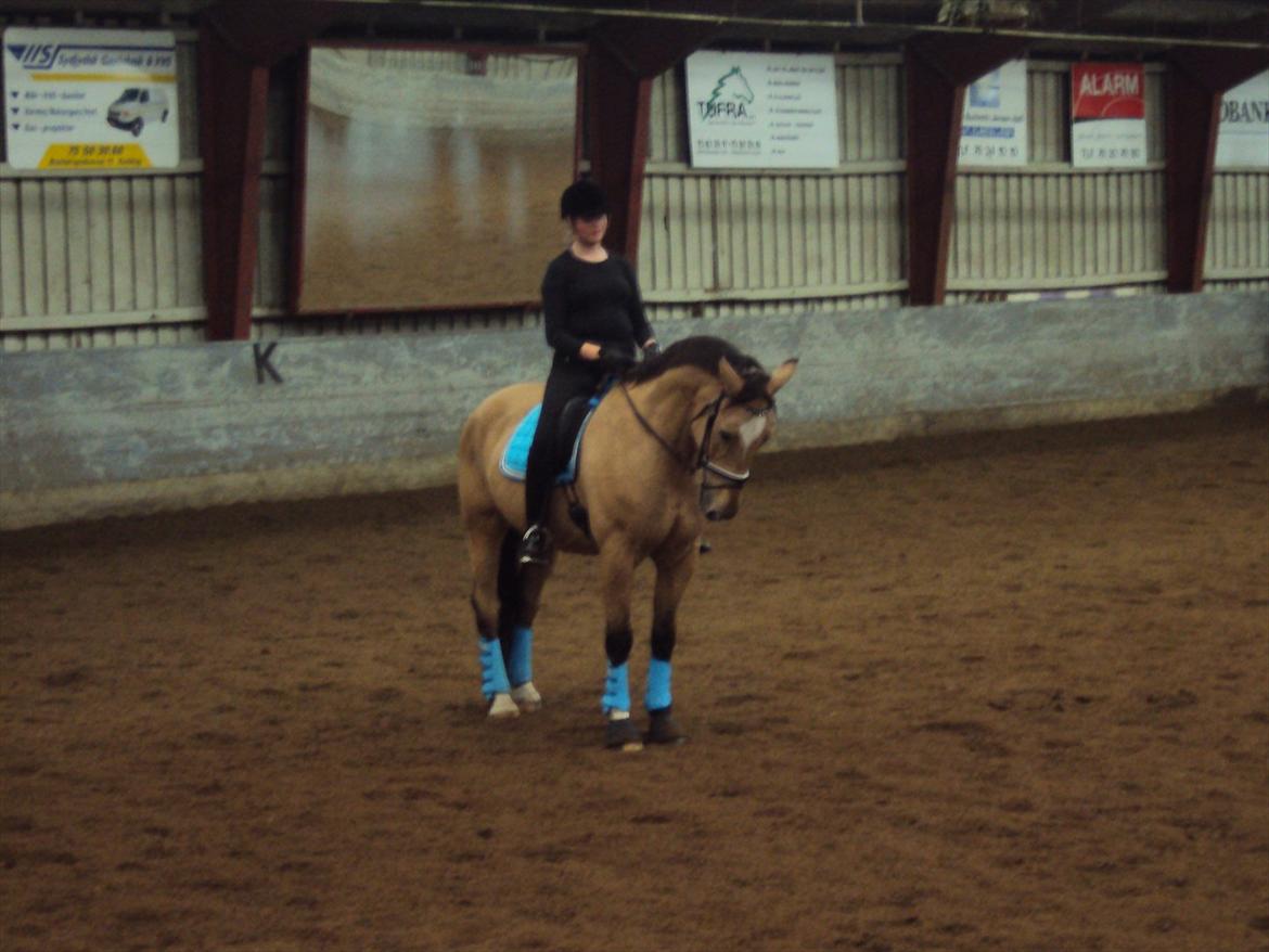 Anden særlig race Mammos billede 5