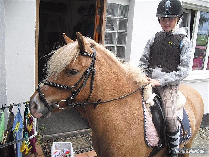 Anden særlig race smørblomst<3 savnes!(solgt) - mig og smørblomst på vej ud og ride sidste gang!=/ i miss you!<33
foto:mot!<3=) billede 17