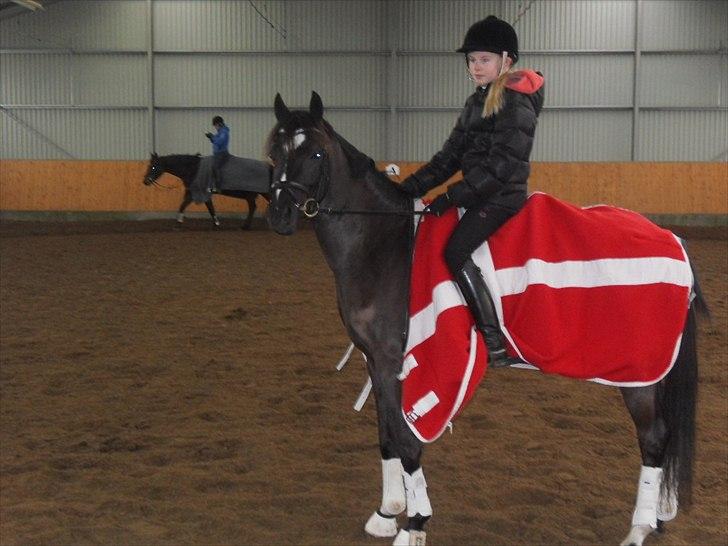 DSP Bjirmen's Hylke SPH 192 - 1. ridetur hjemme billede 16