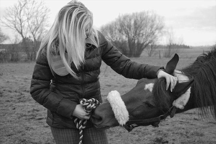 Traver El Santos [Himmelhest]  - Sidste da med min bedsteven.. 5 års venskab blev forbi den dag.. vil altid elske dig minskat..  billede 1