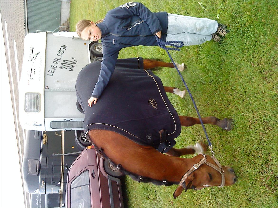 Welsh Pony (sec B) Palør Welsh - Stævne i Sæby:) billede 11