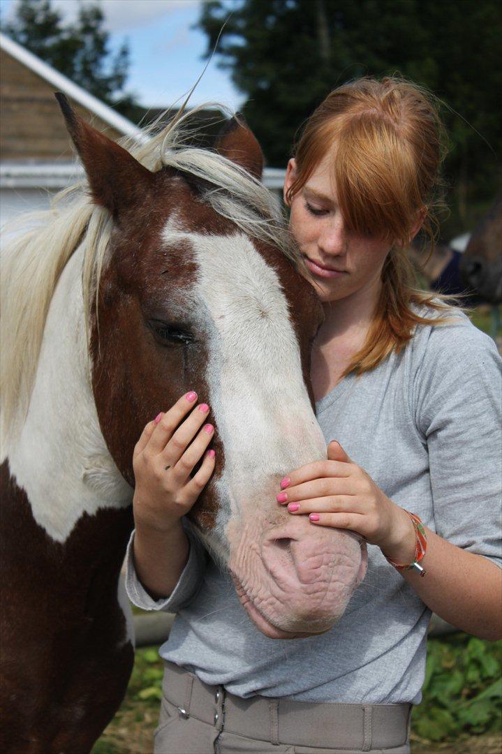 Pinto Blanding Gismoe - #18 Jeg og Gismoe en dejlig forårs dag med noget nusseri :´) <3 foto: Line Holst Petersen (med mit kamera) billede 18