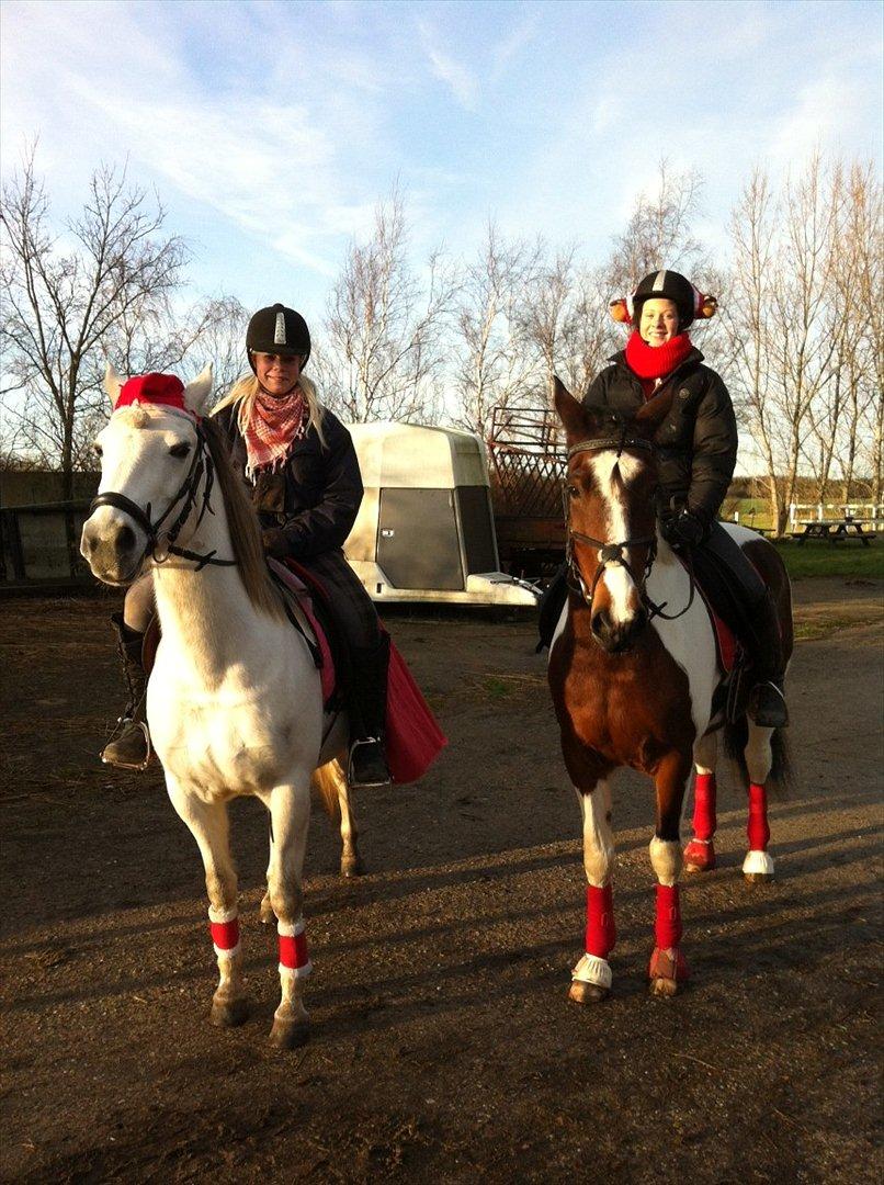 Pinto Coyote Girl :i - Juleoptog! :-*
Lækker dag med en masse fede mennesker og søde heste :-) <3 billede 5