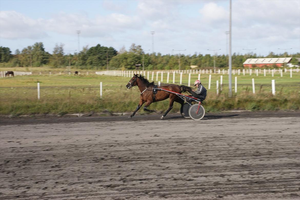 Traver opal street - Opal Street i et hurtig arbejde på travbanen billede 5