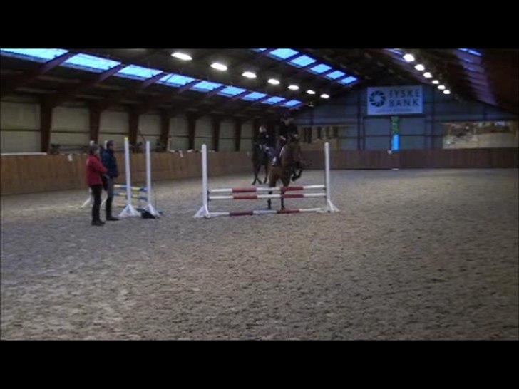 Dansk Varmblod Schannon - Da jeg var ude og prøve hende :)  billede 9