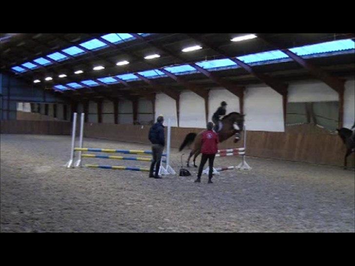 Dansk Varmblod Schannon - et lille spring da jeg var ude og prøve hende :)  billede 10