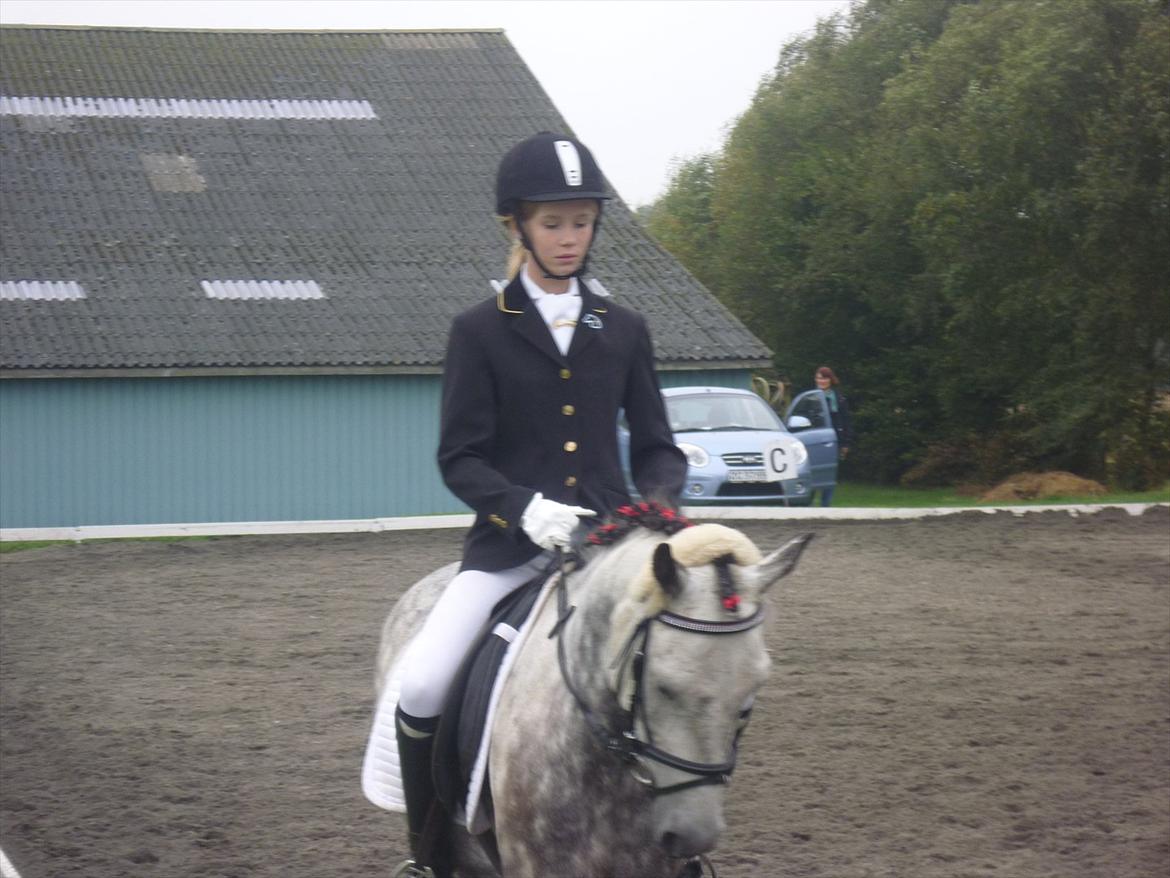 Anden særlig race Theis - VBP <3 - Stævne! <3 - Hark - 2010 billede 13
