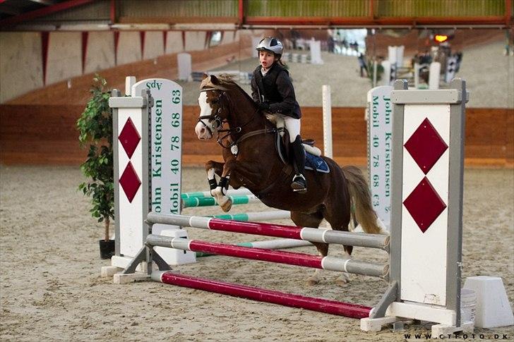 Welsh Pony (sec B) Bloklands Hoeve's Hilde<3....(Hilde)<3<3 - sidste spring i hovedrunden men også første spring i omspringningen 

( billed taget af ct-fotos ) billede 7