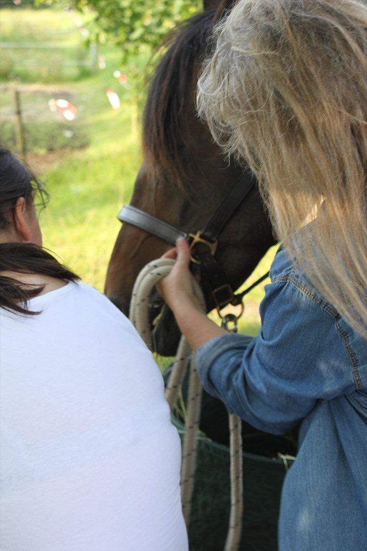 Anden særlig race Miss Fine "Bine" billede 6