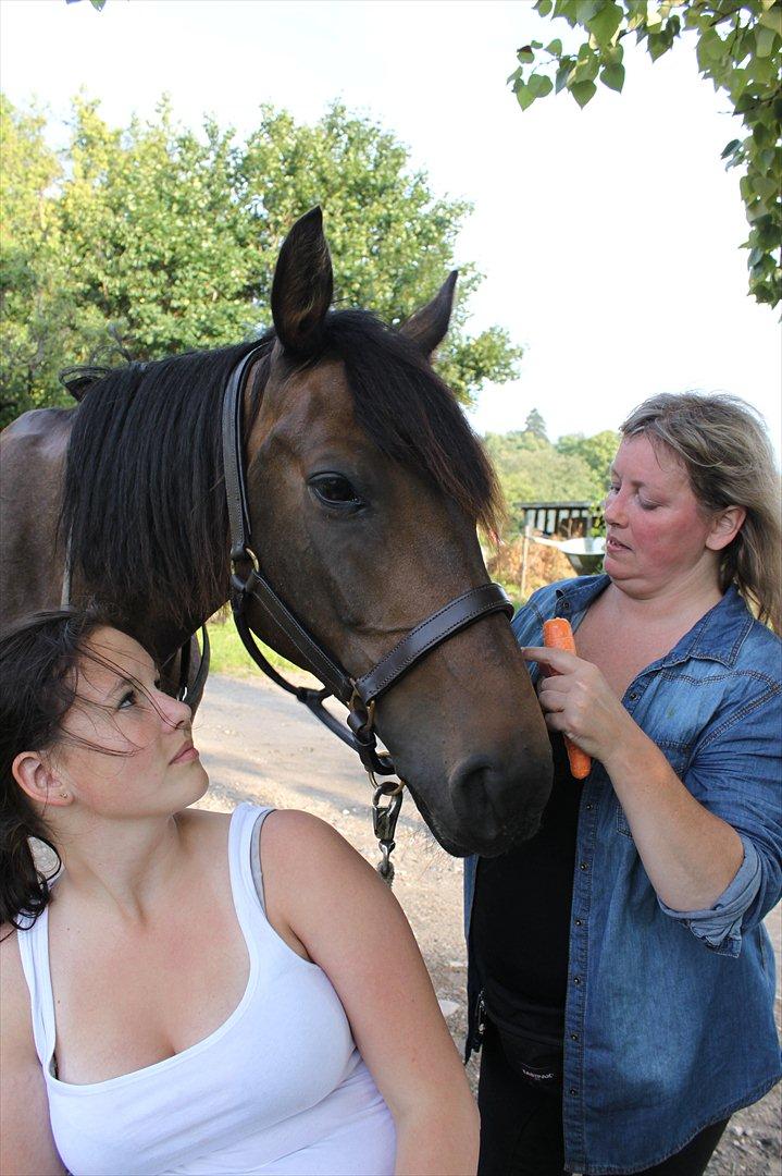 Anden særlig race Miss Fine "Bine" billede 10