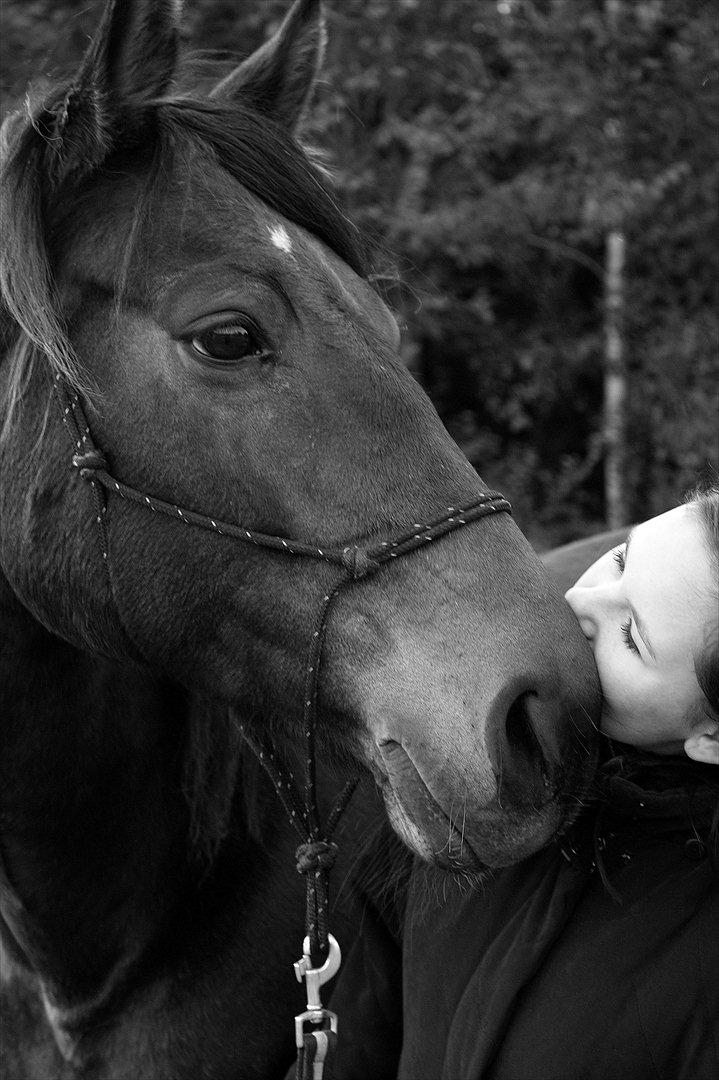 Anden særlig race Miss Fine "Bine" - kys,af min niece Bella billede 14
