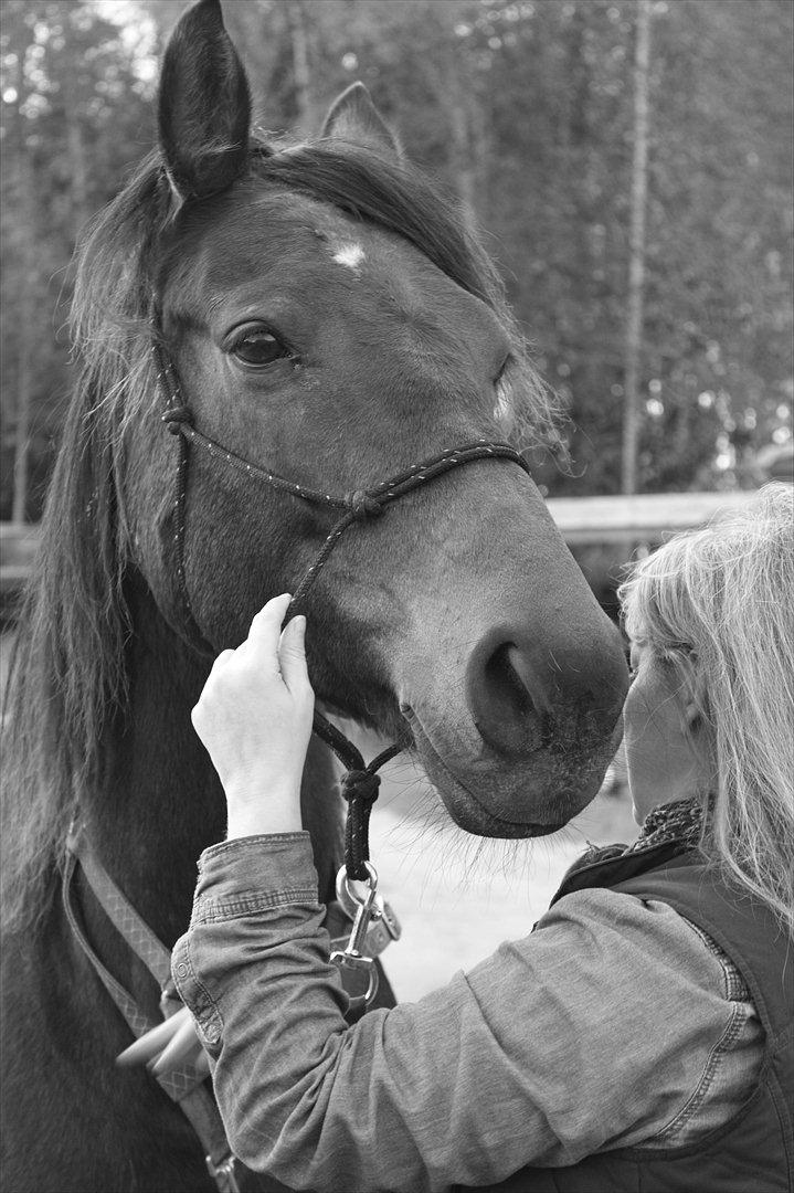 Anden særlig race Miss Fine "Bine" billede 16