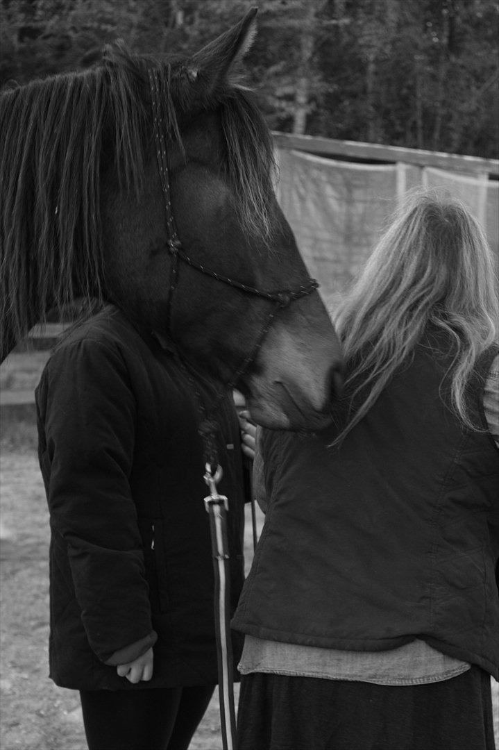 Anden særlig race Miss Fine "Bine" - Hallo "mor" billede 17