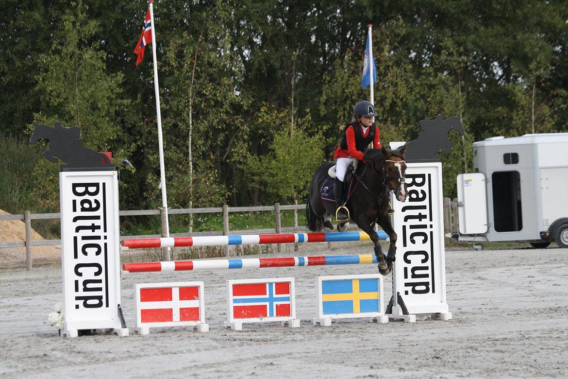 Anden særlig race Miska billede 3