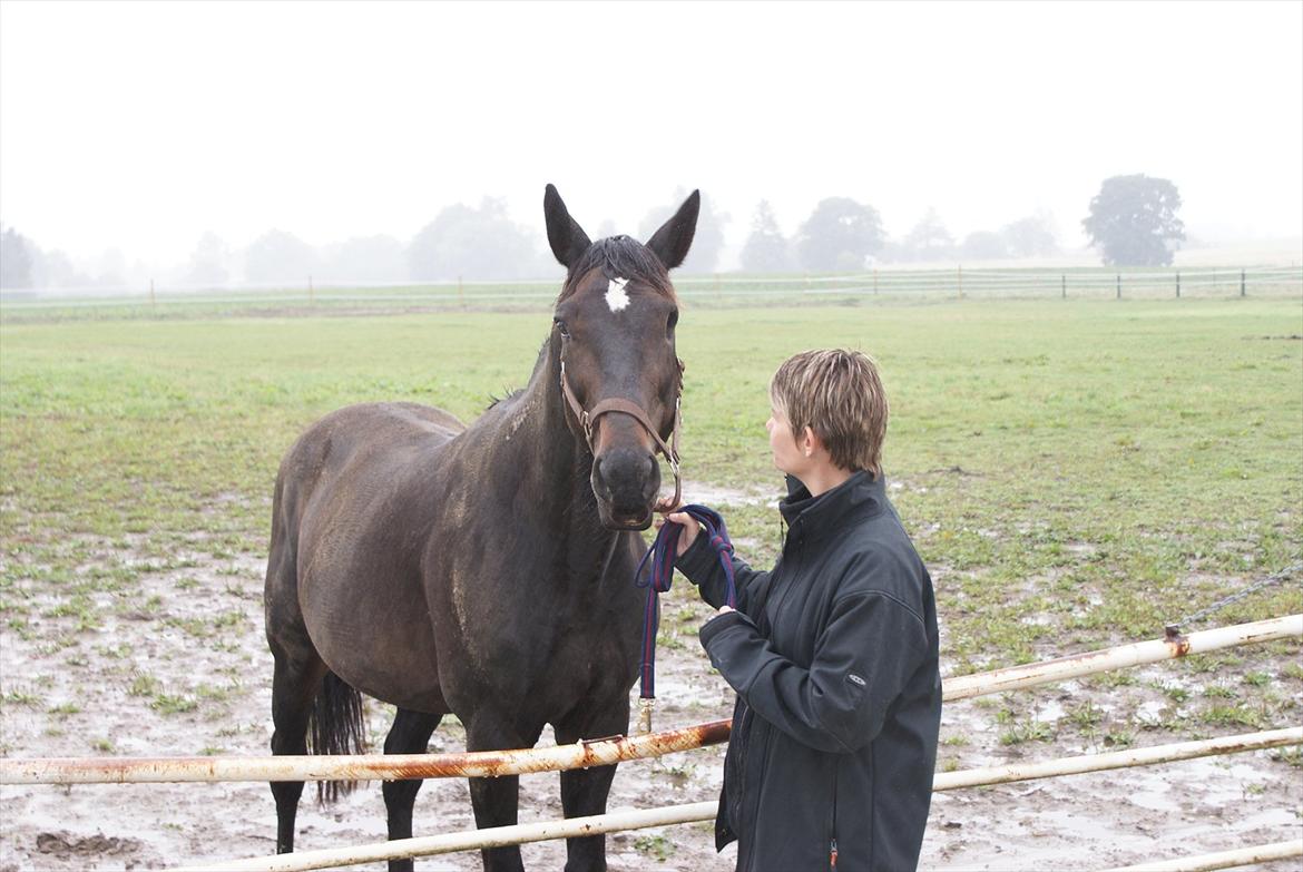 Traver Denys Langkjær - Denys Langkjær 2008 billede 3