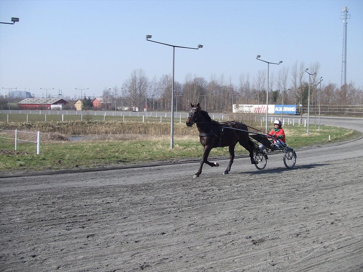 Traver Denys Langkjær - Denys Langkjær og mig ud og træne på travbanen 2007 billede 6