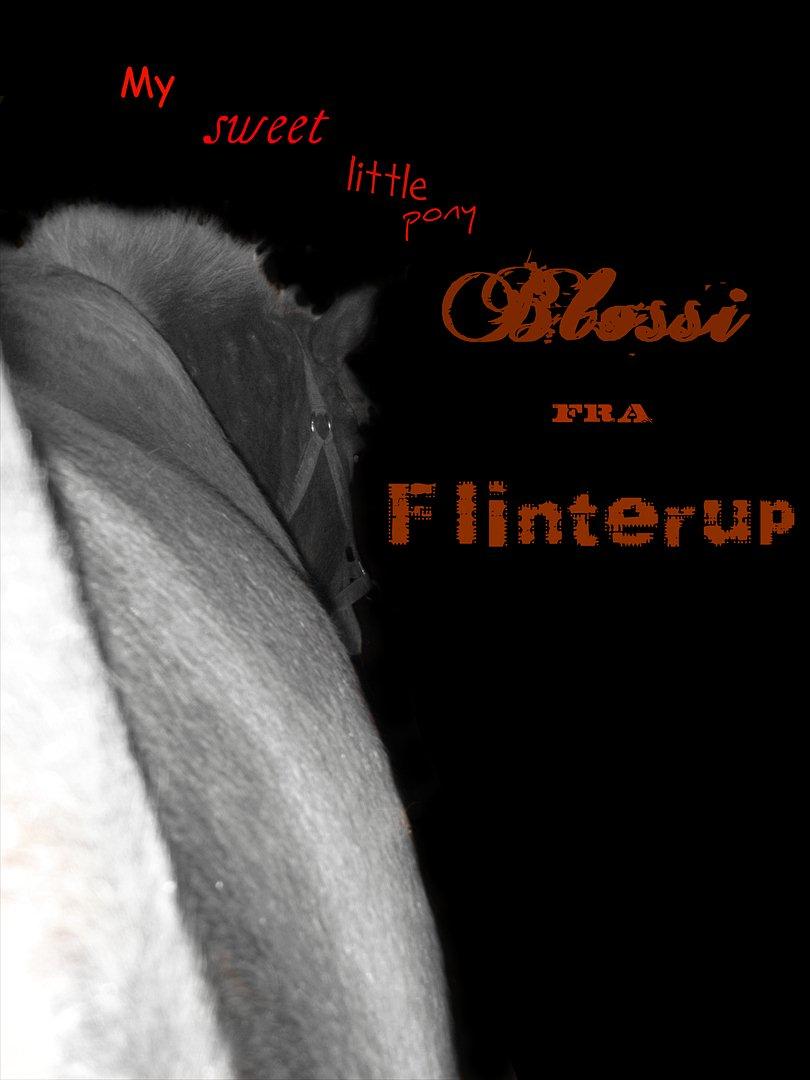 Islænder BLOSSI FLINTERUP - Haha, skulle lige ændre lidt i billedet :D billede 2