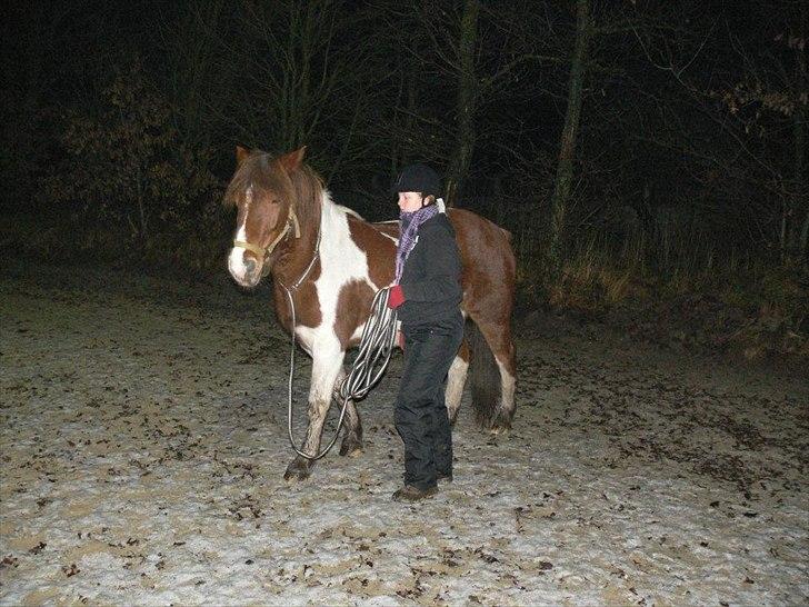 Anden særlig race Shela billede 16