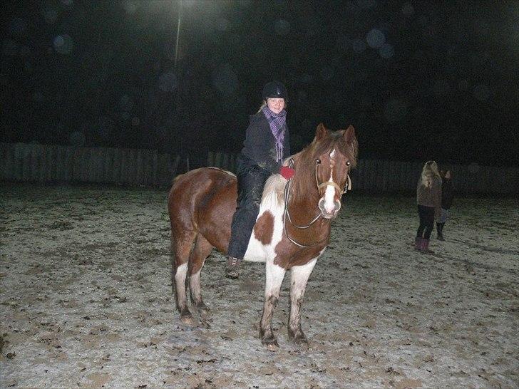 Anden særlig race Shela billede 17