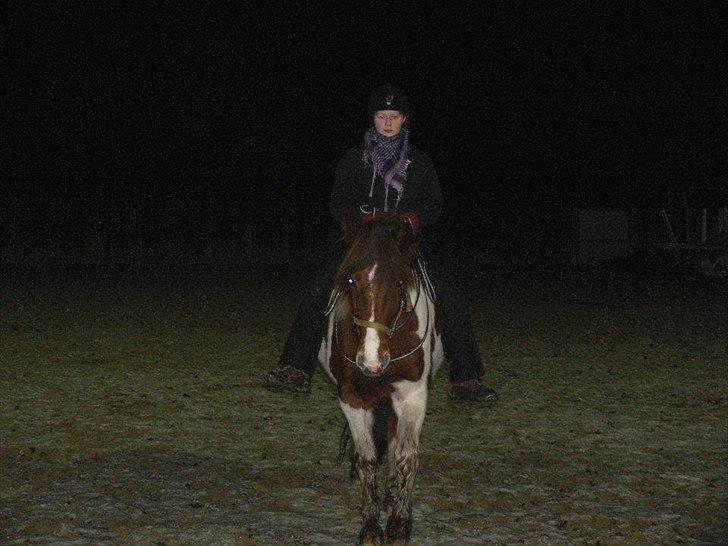 Anden særlig race Shela billede 18