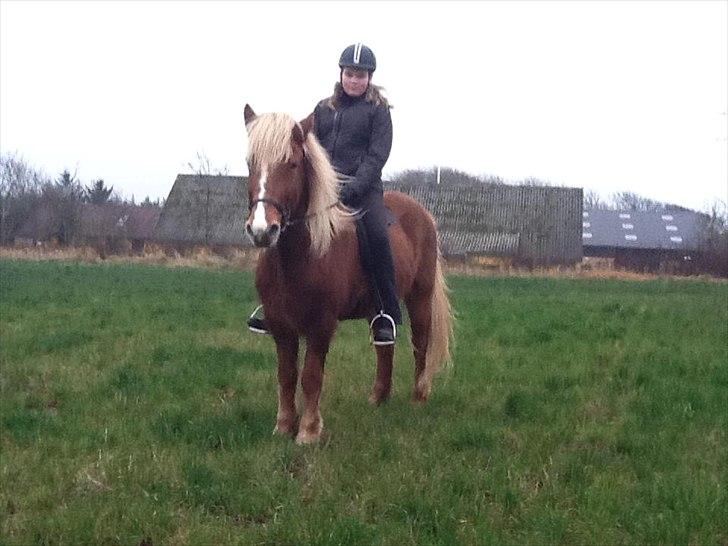 Islænder Disa Fra Fruehøj - Mig o Disen fisen ude på marken hvor vi træner  :D billede 1