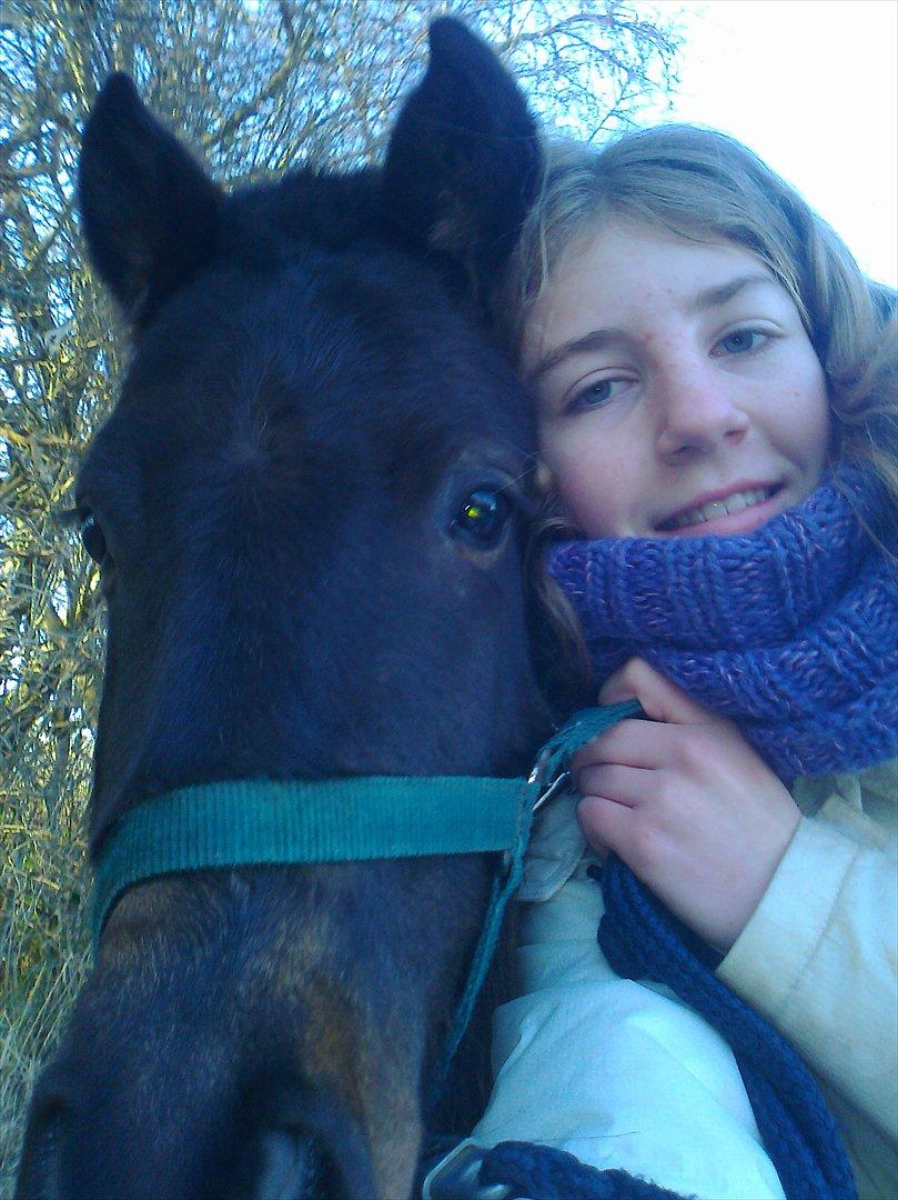 Anden særlig race Hannibal  (BFF<3) - Hannibal og miig på vej hjem fra Ridehallen ;D

Den 06.01.12 billede 20