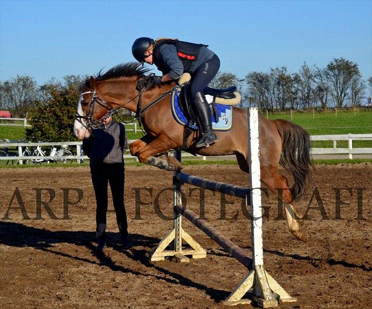 DSP Monty A.M - Efterår 2011
1,05 cm<3 billede 1