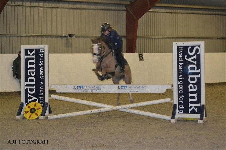 DSP Monty A.M billede 3