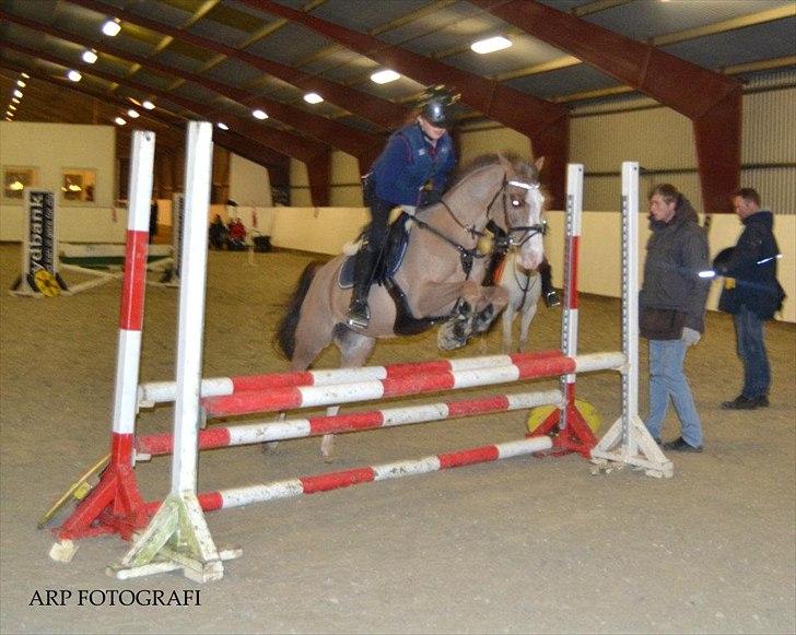 DSP Monty A.M billede 4