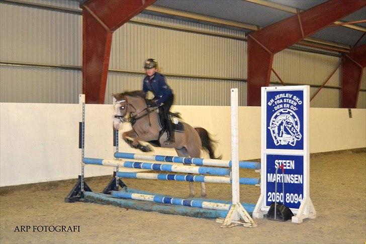 DSP Monty A.M billede 5