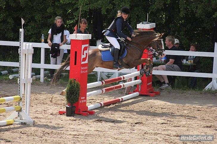 DSP Monty A.M billede 6