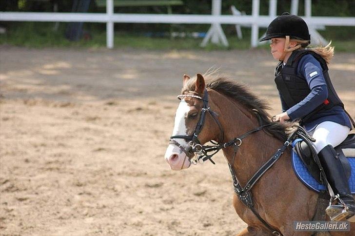 DSP Monty A.M billede 7