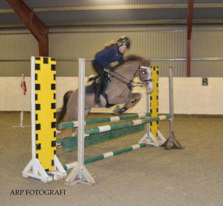 DSP Monty A.M billede 8