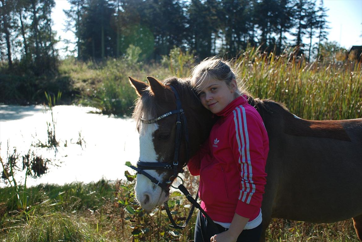 DSP Monty A.M billede 14